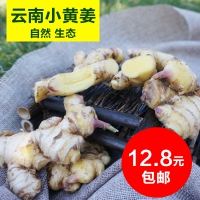 玉溪小黄姜 1斤装 生态种植 放心姜