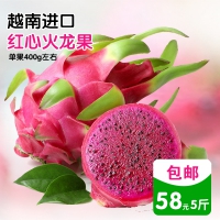 越南火龙果 红心火龙果 5斤装 富含花青素 红龙果 包邮