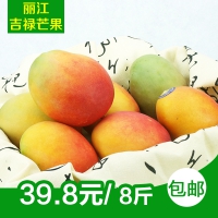 云南丽江芒果 吉禄芒果 8斤装 圣心芒果 mango 新鲜水果 包邮