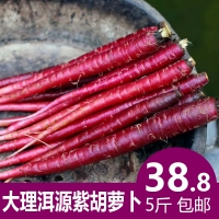 大理紫胡萝卜中号5斤