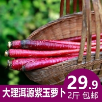 【2月25日发】大理洱源紫玉萝卜中果2斤装