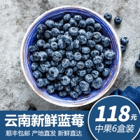 云南新鲜蓝莓中果125gx6盒装顺丰包邮