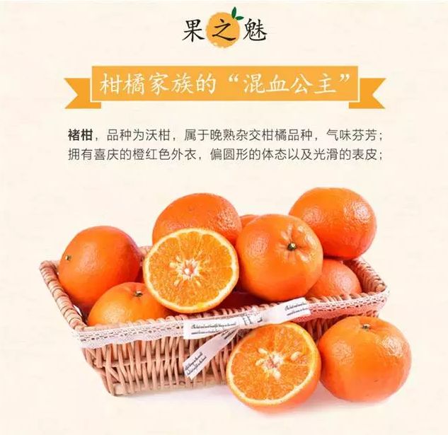 柑橘专题，柑橘的图片，柑橘的行情，报价，价格，买卖，柑橘的营养成分，功效，禁忌和副作用，以及栽培种植高产技术 